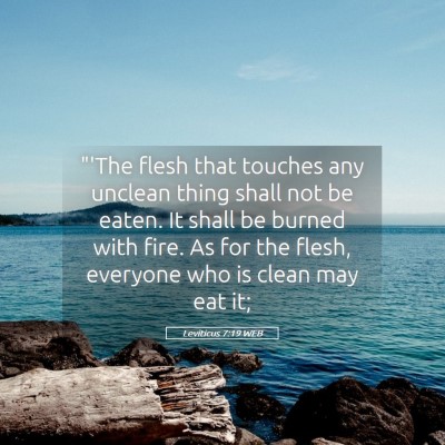 Picture 05 - Leviticus 7:19 WEB - 