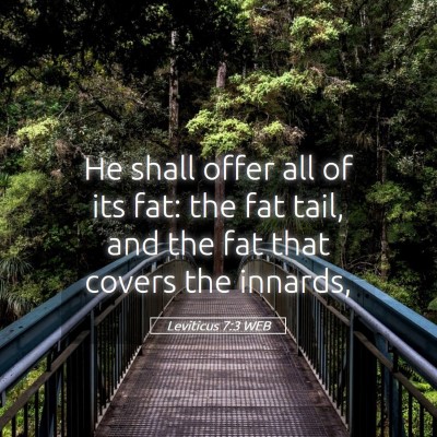 Picture 05 - Leviticus 7:3 WEB - He shall offer all of its fat: the fat tail, and - Bible Verse Picture