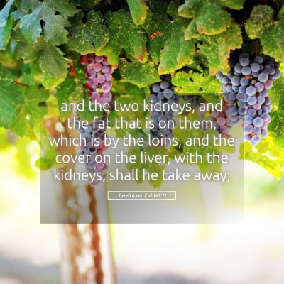 Picture 05 - Leviticus 7:4 WEB - and the two kidneys, and the fat that is on them, - Bible Verse Picture