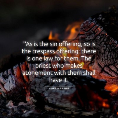 Picture 05 - Leviticus 7:7 WEB - 