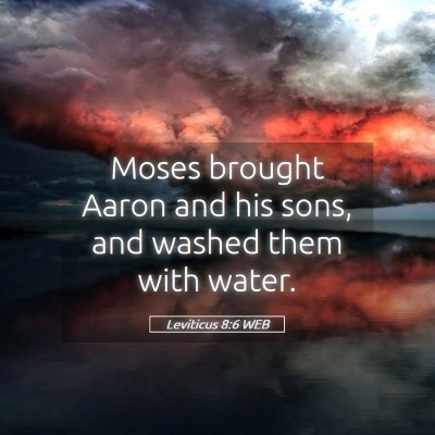 Picture 05 - Leviticus 8:6 WEB - Moses brought Aaron and his sons, and washed them - Bible Verse Picture