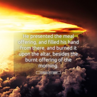 Picture 05 - Leviticus 9:17 WEB - He presented the meal offering, and filled his - Bible Verse Picture