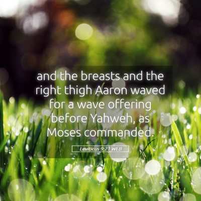 Picture 05 - Leviticus 9:21 WEB - and the breasts and the right thigh Aaron waved - Bible Verse Picture
