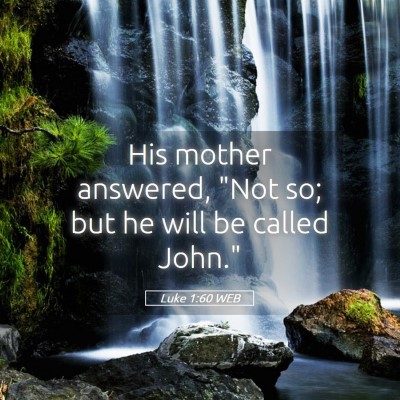 Picture 05 - Luke 1:60 WEB - His mother answered, 