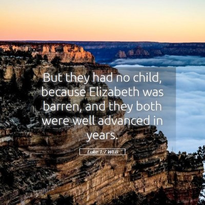Picture 05 - Luke 1:7 WEB - But they had no child, because Elizabeth was - Bible Verse Picture