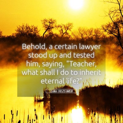 Picture 05 - Luke 10:25 WEB - Behold, a certain lawyer stood up and tested him, - Bible Verse Picture