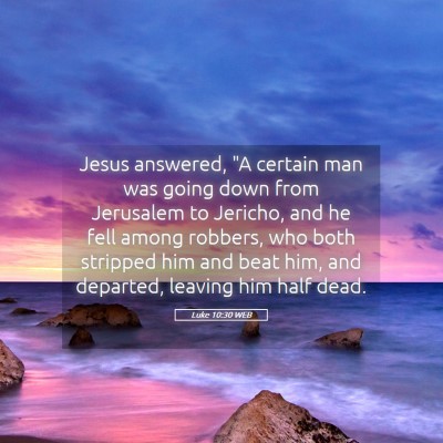Picture 05 - Luke 10:30 WEB - Jesus answered, 
