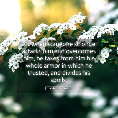 Picture 05 - Luke 11:22 WEB - But when someone stronger attacks him and - Bible Verse Picture
