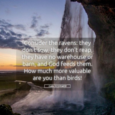 Picture 05 - Luke 12:24 WEB - Consider the ravens: they don't sow, they don't - Bible Verse Picture