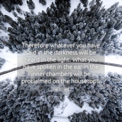 Picture 05 - Luke 12:3 WEB - Therefore whatever you have said in the darkness - Bible Verse Picture