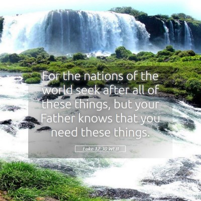 Picture 05 - Luke 12:30 WEB - For the nations of the world seek after all of - Bible Verse Picture