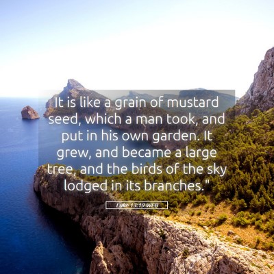 Picture 05 - Luke 13:19 WEB - It is like a grain of mustard seed, which a man - Bible Verse Picture