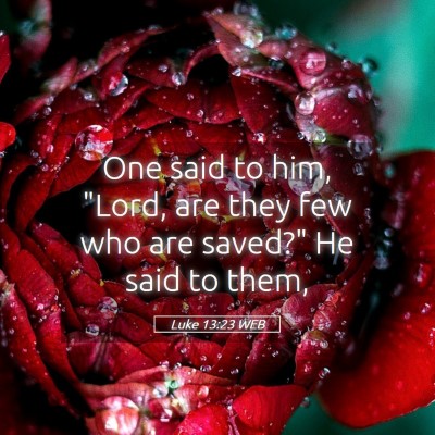 Picture 05 - Luke 13:23 WEB - One said to him, 