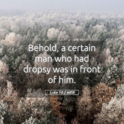 Picture 05 - Luke 14:2 WEB - Behold, a certain man who had dropsy was in front - Bible Verse Picture
