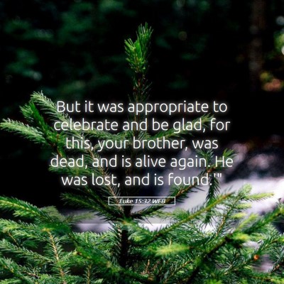 Picture 05 - Luke 15:32 WEB - But it was appropriate to celebrate and be glad, - Bible Verse Picture