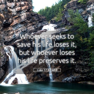 Picture 05 - Luke 17:33 WEB - Whoever seeks to save his life loses it, but - Bible Verse Picture