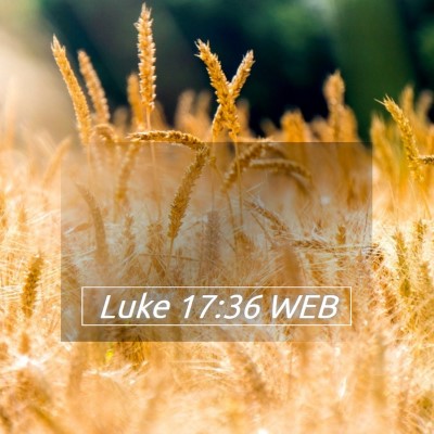 Picture 05 - Luke 17:36 WEB -  - Bible Verse Picture