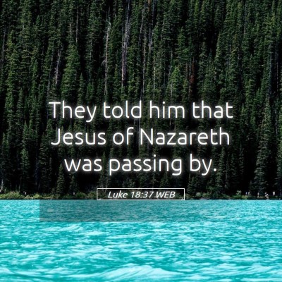 Picture 05 - Luke 18:37 WEB - They told him that Jesus of Nazareth was passing - Bible Verse Picture