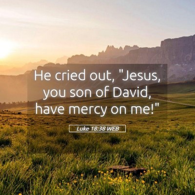 Picture 05 - Luke 18:38 WEB - He cried out, 