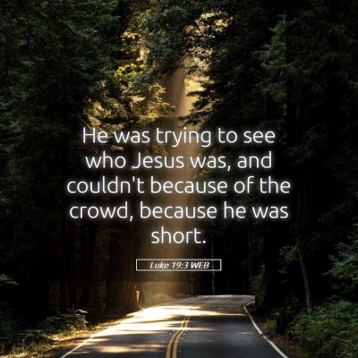 Picture 05 - Luke 19:3 WEB - He was trying to see who Jesus was, and couldn't - Bible Verse Picture
