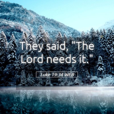 Picture 05 - Luke 19:34 WEB - They said, 