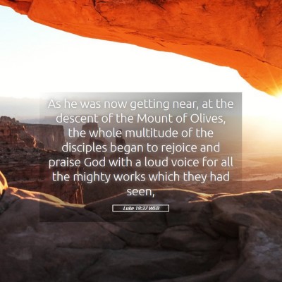 Picture 05 - Luke 19:37 WEB - As he was now getting near, at the descent of the - Bible Verse Picture