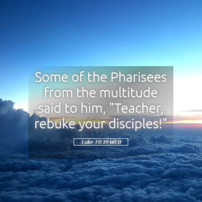 Picture 05 - Luke 19:39 WEB - Some of the Pharisees from the multitude said to - Bible Verse Picture