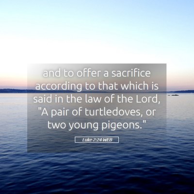 Picture 05 - Luke 2:24 WEB - and to offer a sacrifice according to that which - Bible Verse Picture