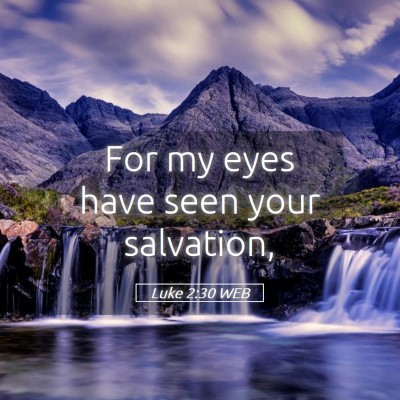 Picture 05 - Luke 2:30 WEB - For my eyes have seen your - Bible Verse Picture