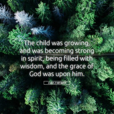 Picture 05 - Luke 2:40 WEB - The child was growing, and was becoming strong in - Bible Verse Picture