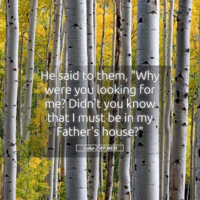 Picture 05 - Luke 2:49 WEB - He said to them, 