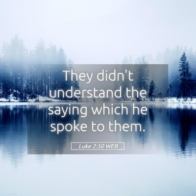 Picture 05 - Luke 2:50 WEB - They didn't understand the saying which he spoke - Bible Verse Picture