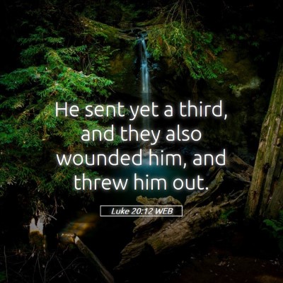 Picture 05 - Luke 20:12 WEB - He sent yet a third, and they also wounded him, - Bible Verse Picture