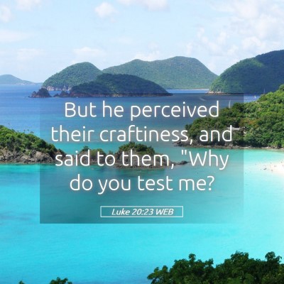 Picture 05 - Luke 20:23 WEB - But he perceived their craftiness, and said to - Bible Verse Picture