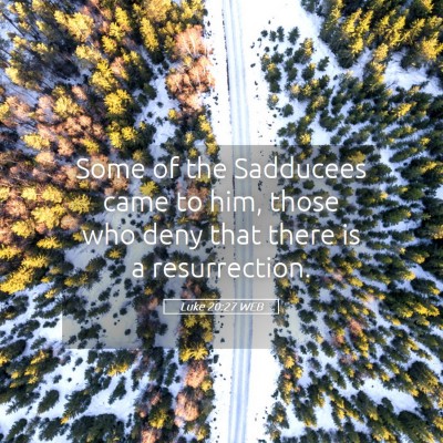 Picture 05 - Luke 20:27 WEB - Some of the Sadducees came to him, those who deny - Bible Verse Picture