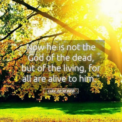 Picture 05 - Luke 20:38 WEB - Now he is not the God of the dead, but of the - Bible Verse Picture