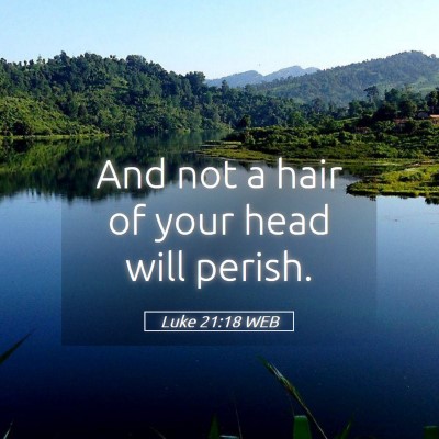 Picture 05 - Luke 21:18 WEB - And not a hair of your head will - Bible Verse Picture