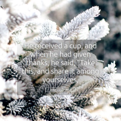 Picture 05 - Luke 22:17 WEB - He received a cup, and when he had given thanks, - Bible Verse Picture