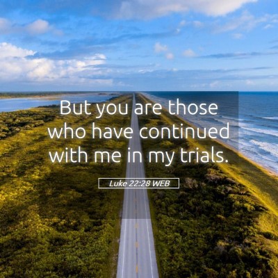 Picture 05 - Luke 22:28 WEB - But you are those who have continued with me in - Bible Verse Picture