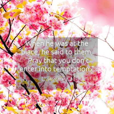 Picture 05 - Luke 22:40 WEB - When he was at the place, he said to them, 