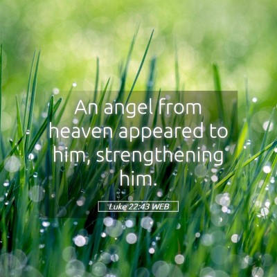 Picture 05 - Luke 22:43 WEB - An angel from heaven appeared to him, - Bible Verse Picture