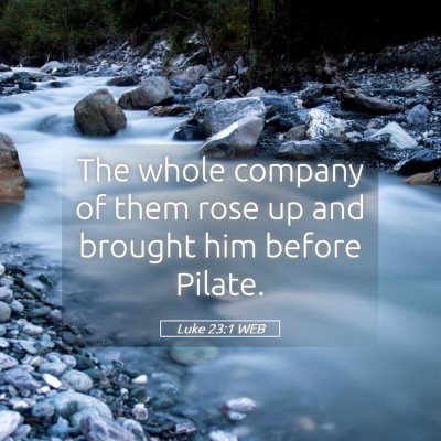 Picture 05 - Luke 23:1 WEB - The whole company of them rose up and brought him - Bible Verse Picture
