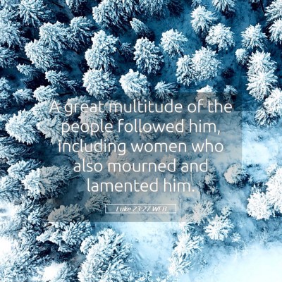 Picture 05 - Luke 23:27 WEB - A great multitude of the people followed him, - Bible Verse Picture