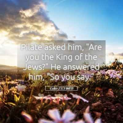 Picture 05 - Luke 23:3 WEB - Pilate asked him, 
