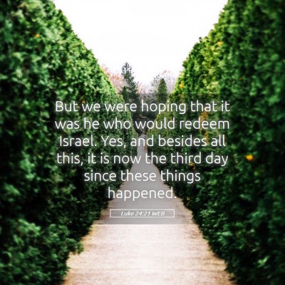 Picture 05 - Luke 24:21 WEB - But we were hoping that it was he who would - Bible Verse Picture