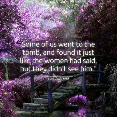 Picture 05 - Luke 24:24 WEB - Some of us went to the tomb, and found it just - Bible Verse Picture