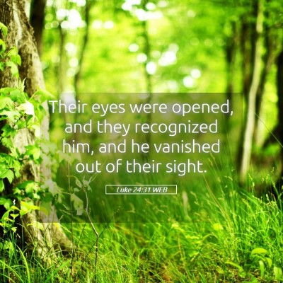 Picture 05 - Luke 24:31 WEB - Their eyes were opened, and they recognized him, - Bible Verse Picture
