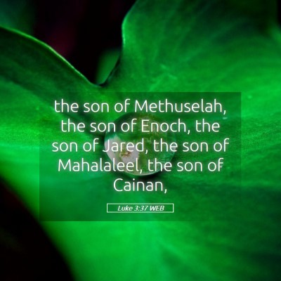 Picture 05 - Luke 3:37 WEB - the son of Methuselah, the son of Enoch, the son - Bible Verse Picture