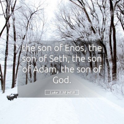 Picture 05 - Luke 3:38 WEB - the son of Enos, the son of Seth, the son of - Bible Verse Picture