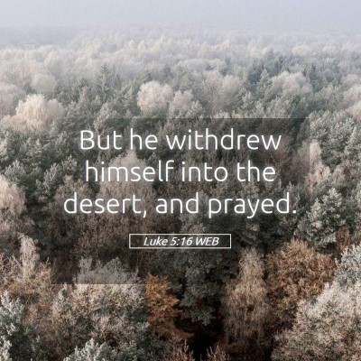 Picture 05 - Luke 5:16 WEB - But he withdrew himself into the desert, and - Bible Verse Picture